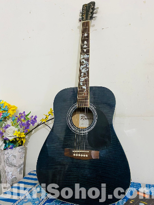 rogers guiter DL-17F